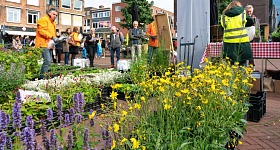 planten uitdeelactie